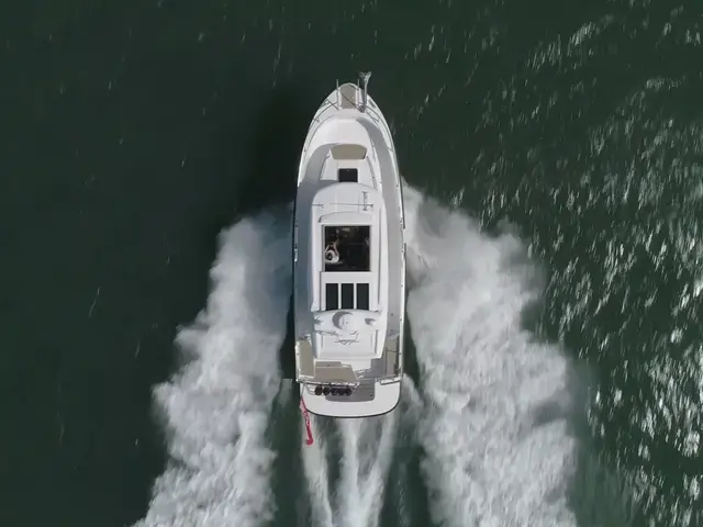 Sargo Explorer 31