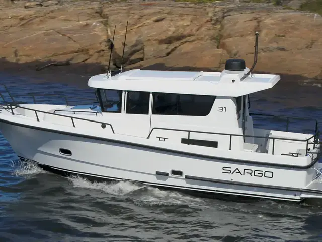 Sargo 31