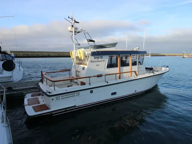 Botnia Targa 31