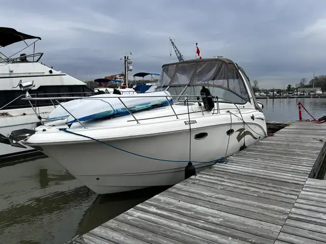 Chaparral 310 Signature