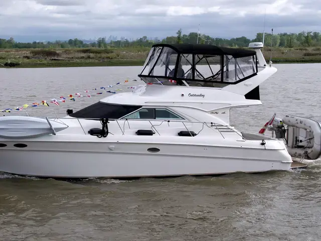 Sea Ray 400 Sedan Bridge