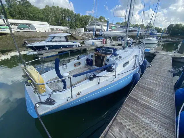 Contessa 32