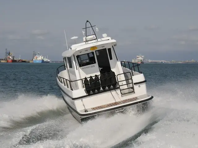 Sargo 33