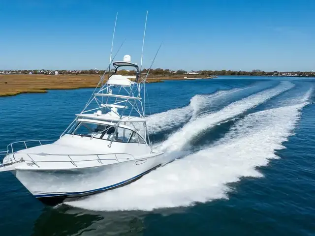 Viking 42 Open