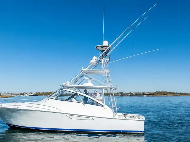 Viking 42 Open