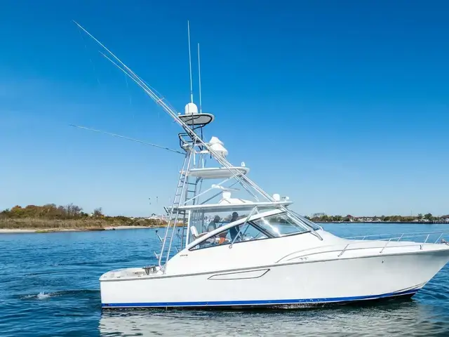 Viking 42 Open