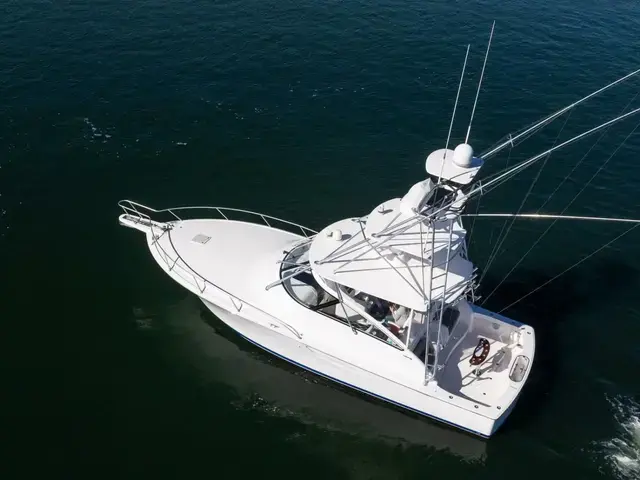 Viking 42 Open