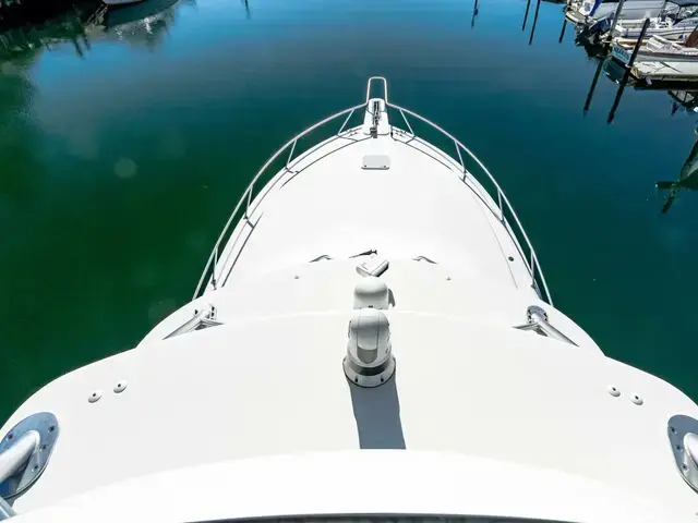 Viking 42 Open