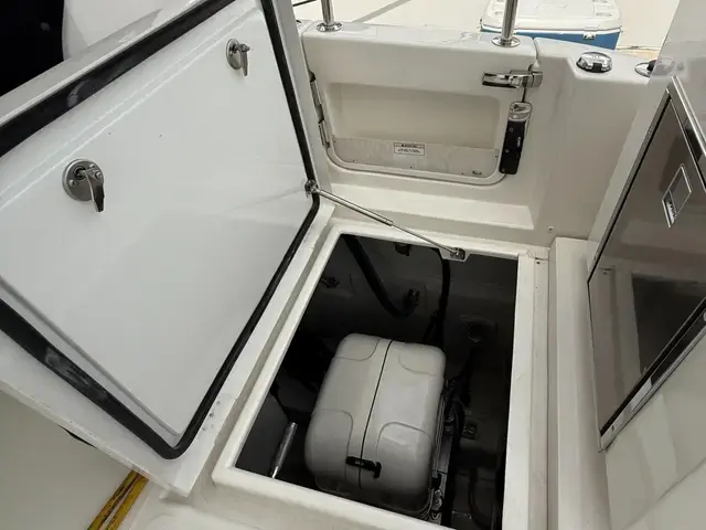 Aquila 36 Sport