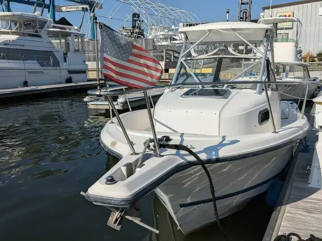 Bayliner Trophy 2352 WA