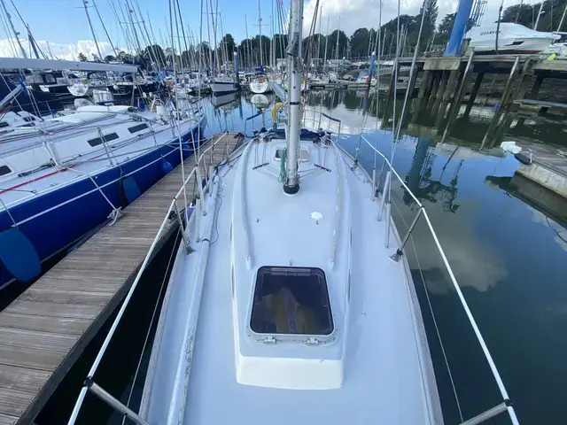 Contessa 32