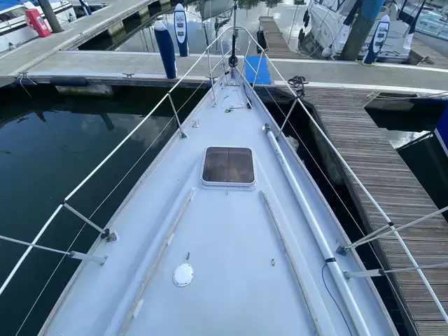 Contessa 32