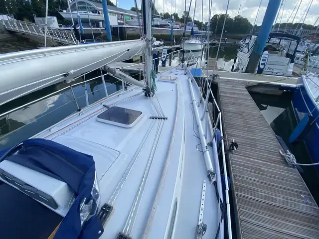 Contessa 32