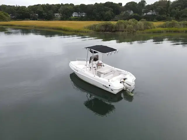 Sea Swirl Striper 1905 Cc