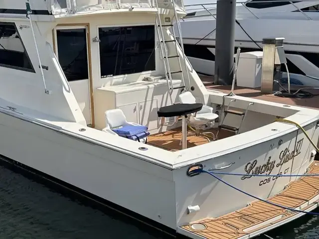 Viking 45 Convertible