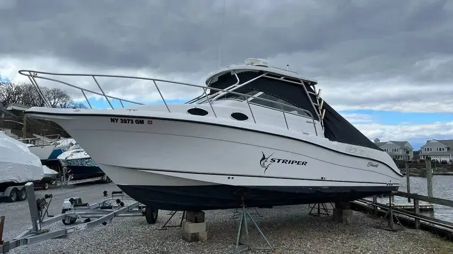 2004 Seaswirl 2901 striper