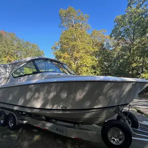 2017 Pursuit DC 295 Dual Console