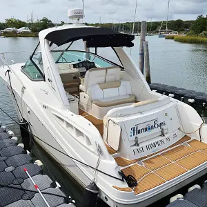 2009 Sea Ray Sundancer 310