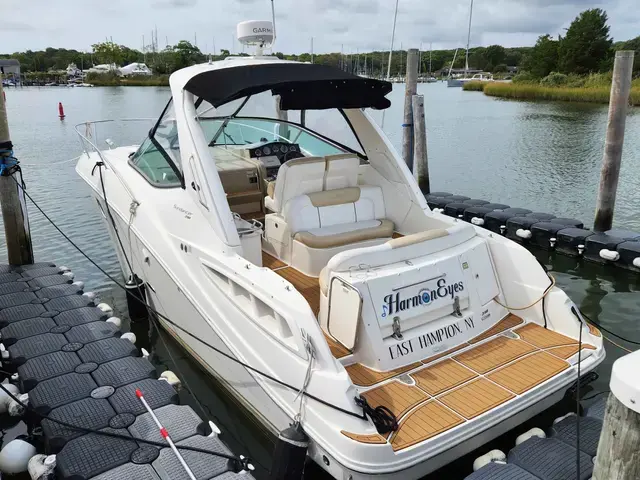 Sea Ray Sundancer 310