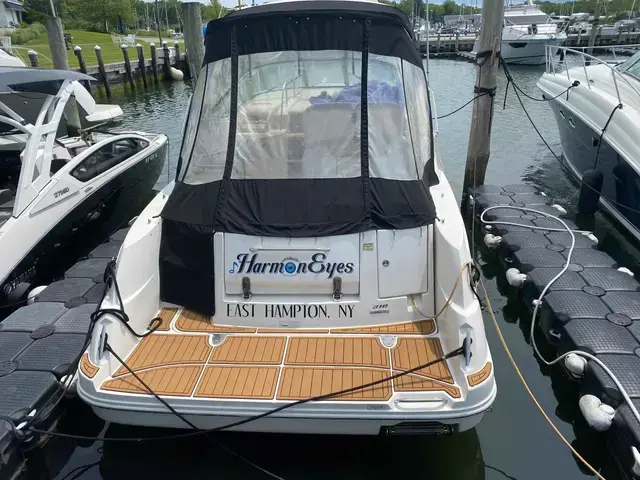 Sea Ray Sundancer 310