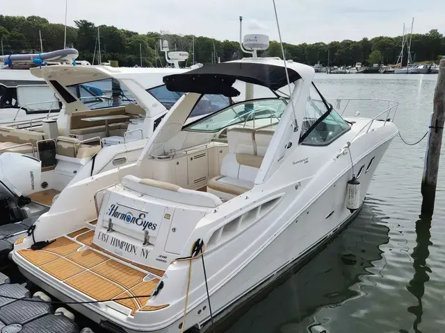 Sea Ray Sundancer 310