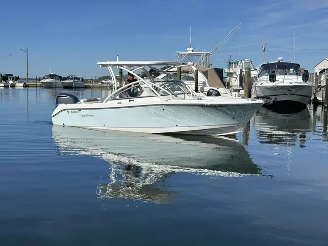 Edgewater boats 245 CX