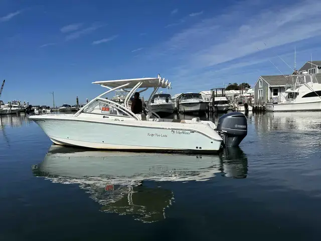 Edgewater boats 245 CX