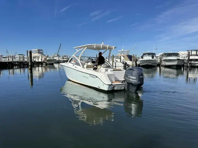 Edgewater boats 245 CX