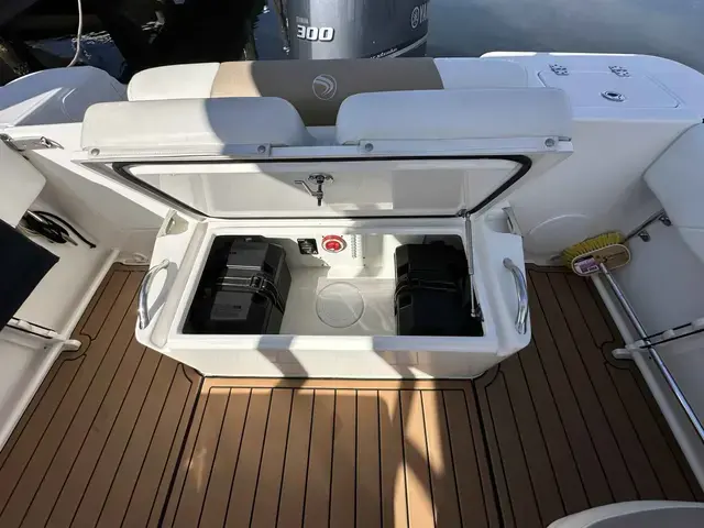 Edgewater boats 245 CX