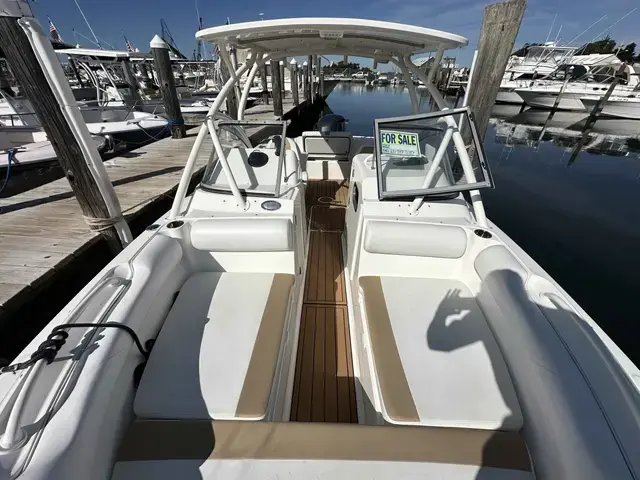 Edgewater boats 245 CX