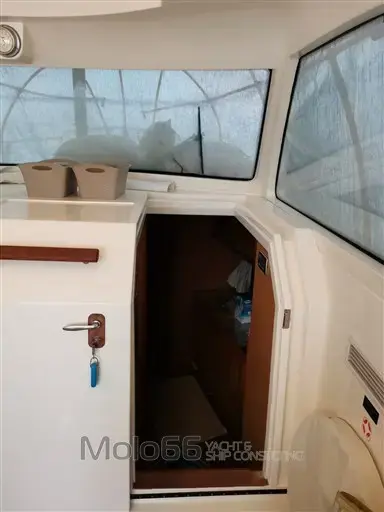 2007 Mochi dolphin 44