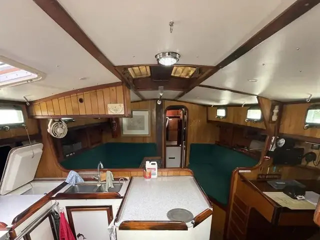 Shearwater 39