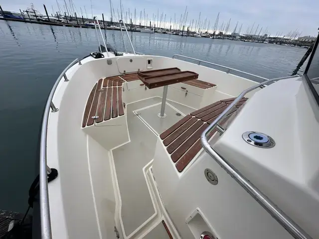 Botnia Targa 31