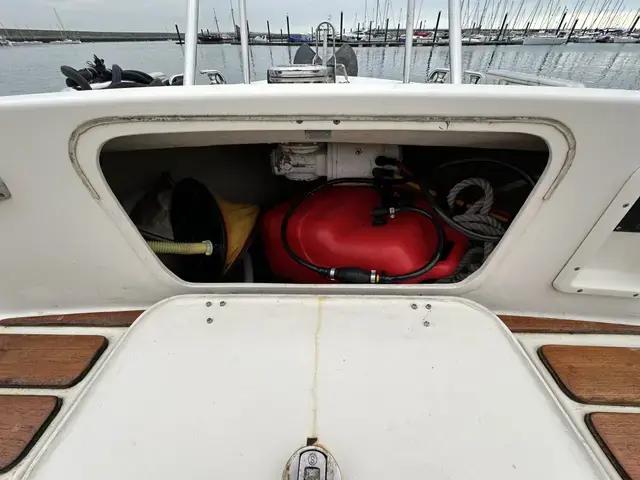 Botnia Targa 31