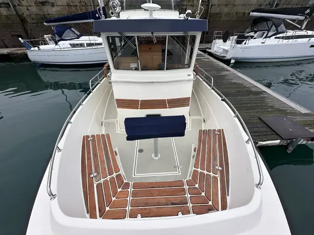 Botnia Targa 31