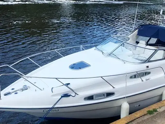 Sealine 310 Ambassador