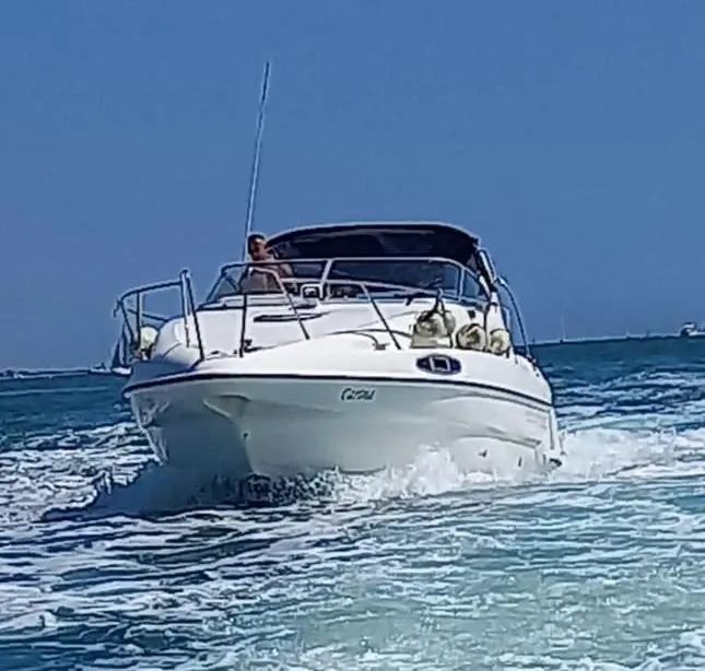 1992 Sealine ambassador 310