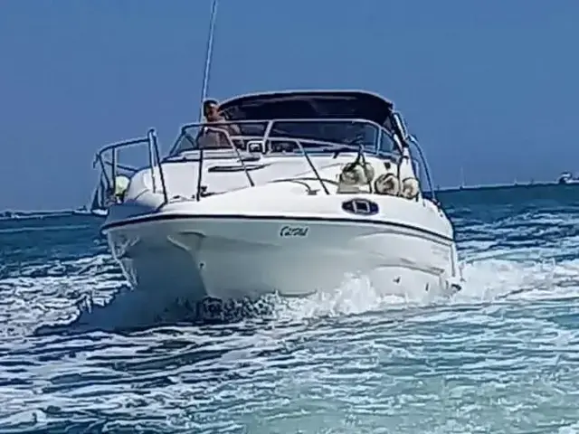 Sealine 310 Ambassador