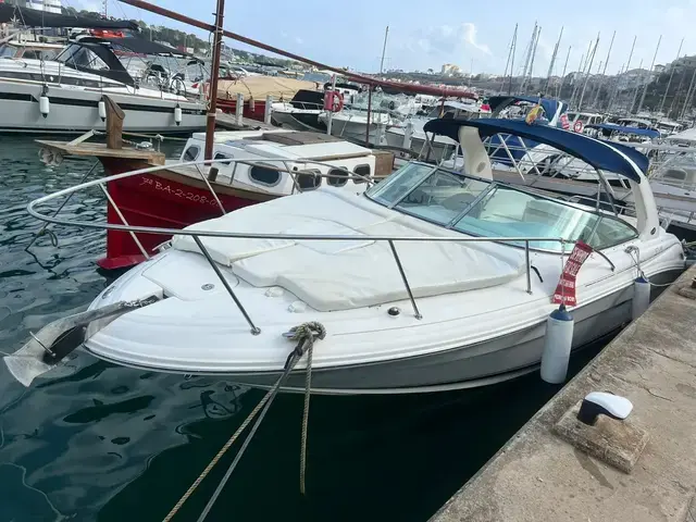 Sea Ray 290 SS