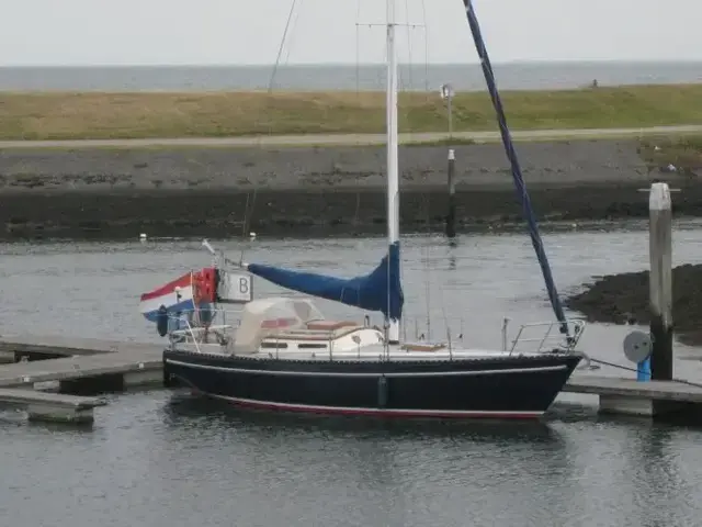 Koopmans 32