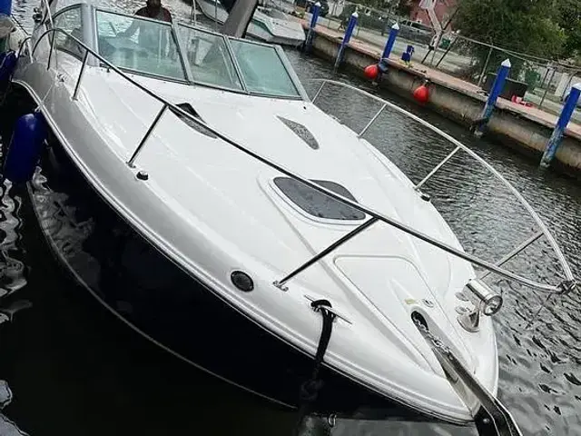 Sea Ray Sundancer 290