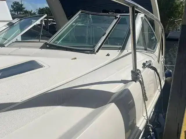 Sea Ray Sundancer 290