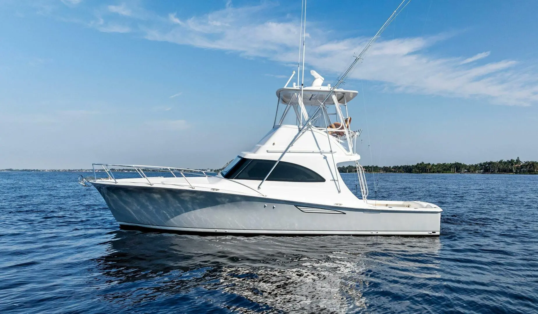 2018 Viking billfish