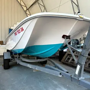 2017 Boston Whaler 19