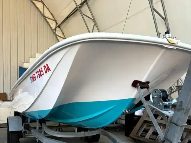 Boston Whaler 19