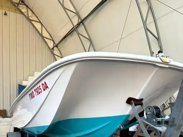 Boston Whaler 19