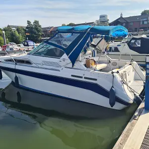 1991 Sea Ray 290 DA