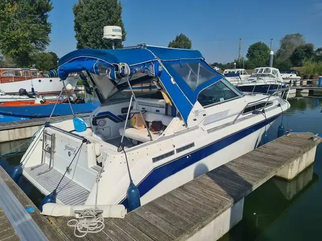 Sea Ray 290 DA