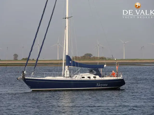 Koopmans 40