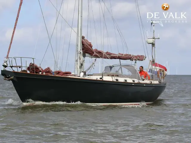 Koopmans 40